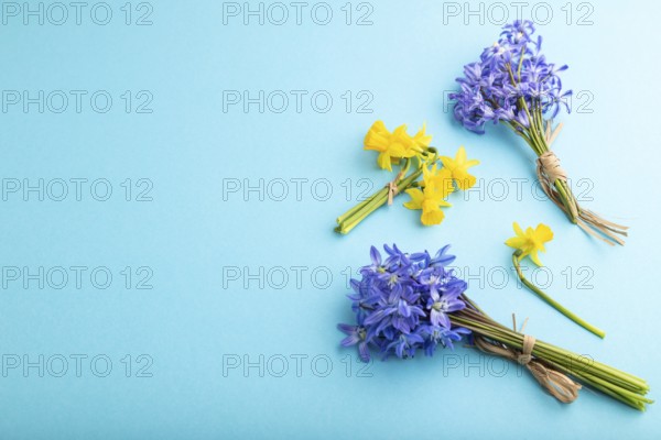 Spring snowdrop flowers bluebells, narcissus on blue pastel background. side view, copy space,