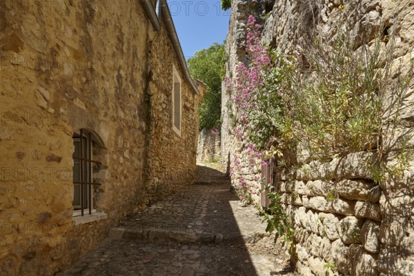 Narrow alley with steps between old stone houses in La Roque-sur-Cèze, Gard department, Occitanie