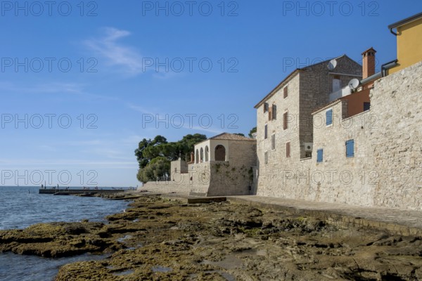 Southern city wall, Novigrad, Istria, Croatia, Europe
