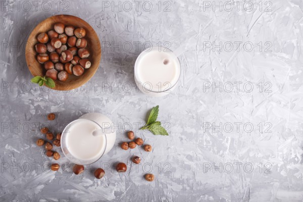 Organic non dairy hazelnut milk in glass and wooden plate with hazelnuts on a gray concrete