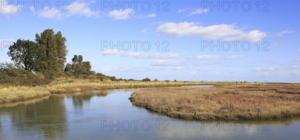 Landscape at high tide Barthorp's Creek, Hollesley Bay, near Shingle Street, Suffolk, England, UK