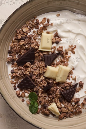 Yogurt with chocolate muesli, breakfast, close-up, fork on top, no people