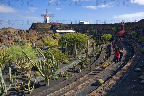 Cactus garden, Jardin de Cactus, designed by the artist César Manrique, behind the restored gofio