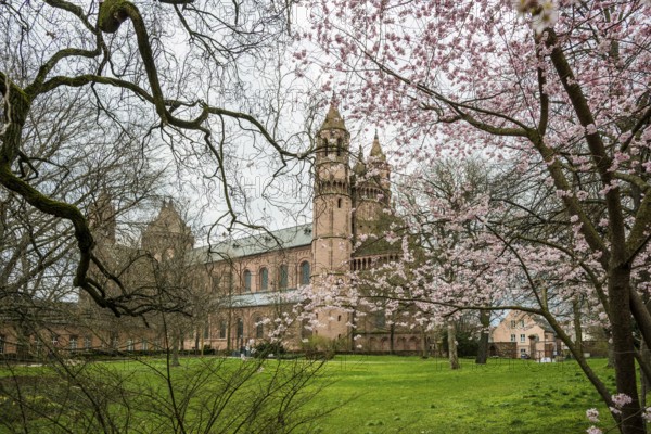 St Peter's Cathedral, Kaiserdom, Worms Cathedral, Worms, Rhineland-Palatinate, Germany, Europe
