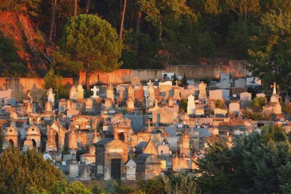 A serene hillside cemetery with numerous tombstones bathed in the warm glow of a setting sun,