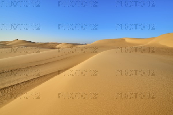 Wide sand dunes under a blue sky in the desert, Matruh, Great Sand Sea, Libyan Desert, Sahara,