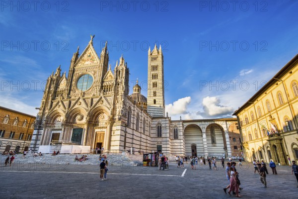 Cathedral of Siena, Tuscany, Italy, Europe