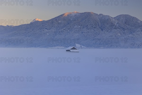 Hut in the snow in front of mountains, evening light, view of Rabenkopf and Benediktenwand,