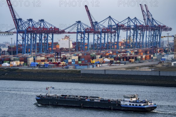Container terminal Tollerort, container ships are loaded and unloaded, one of 4 container terminals