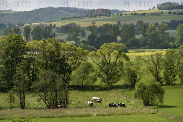 Landscape in the south of Lichtenfels, in Hesse, Germany, Europe