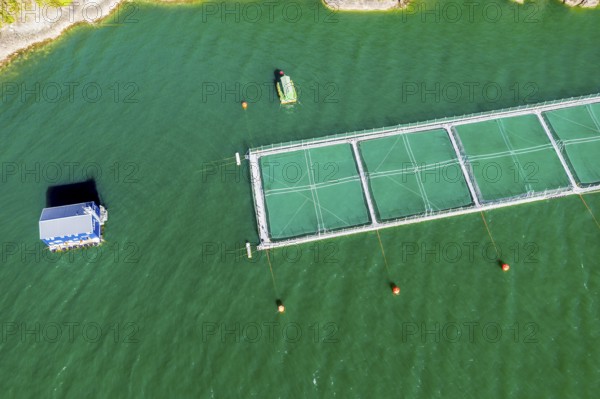 Aerial view of salmon farm in the Reloncavi fjord southeast of Puerto Montt, Chile, South America