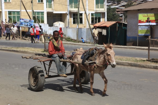 In the highlands of Abyssinia, in the Semien Mountains, Semien Mountains, village of Debark, street