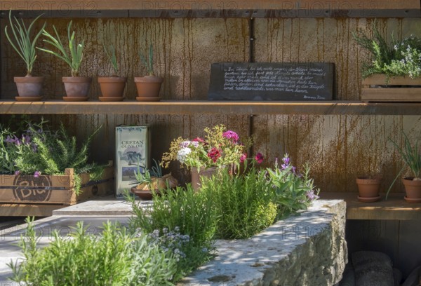 Rustic wooden shelf with clay pots and various plants, a stone table with herbs and a chalkboard in