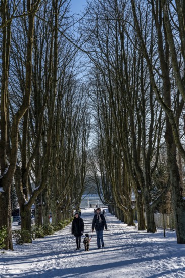 Winter in the Ruhr area, Lake Baldeney, snow-covered, partly frozen lake, tree-lined avenue to the