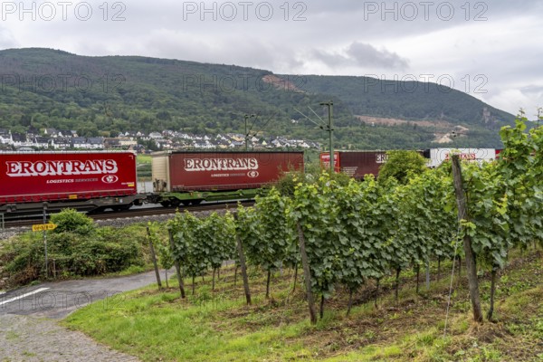 Upper Middle Rhine Valley, railway line on the right bank of the Rhine, goods train line, up to 400