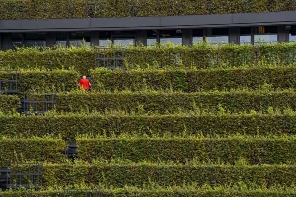 Green façade, made of over 30, 000 hornbeams forming a hedge a good 8 kilometres long, on the roof
