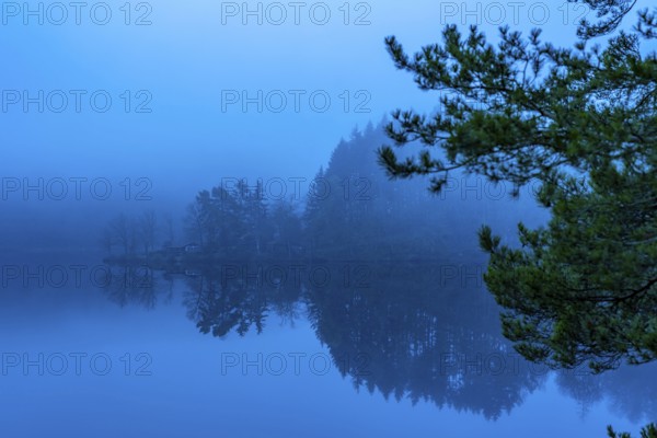 Lake Rursee in the Eifel, reservoir, upper lake, in winter, fog, near Heimbach, North