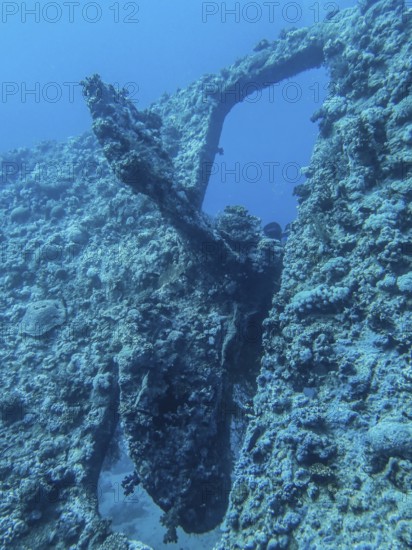 Propeller, stern, wreck of the Dunraven, Red Sea, Egypt, Africa