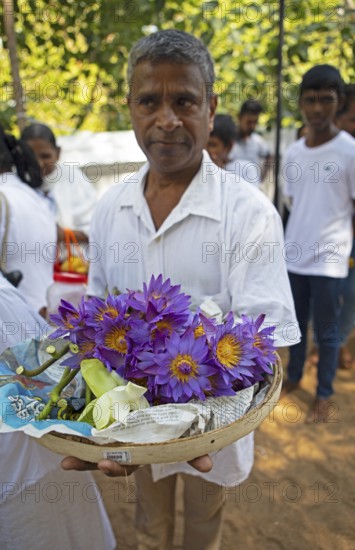 Sri Lankan pilgrim with purple lotus flowers, Holy City of Anuradhapura, North Central Province,