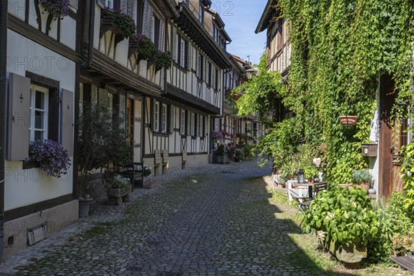 Altstadtgasse, Engelgasse, historic half-timbered buildings and sights in Gengenbach, Ortenaukreis,