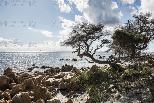 Lonely beach, Spiaggia di Biderosa, Riserva Biderosa nature reserve, Orosei, Nuoro province, east