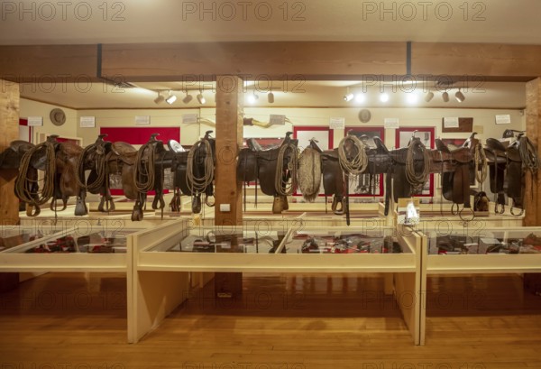 Craig, Colorado - Saddles on display at the Museum of Northwest Colorado's Cowboy and Gunfighter