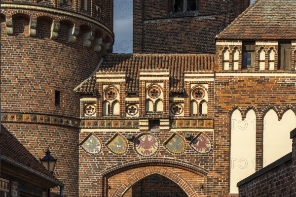 Coat of arms on the Neustädter Tor in Tangermünde, Saxony-Anhalt, Germany, Europe