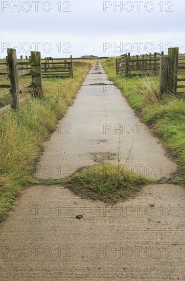 Orford Ness lighthouse Open Day, September 2017, Suffolk, England, UK, old military road crossing