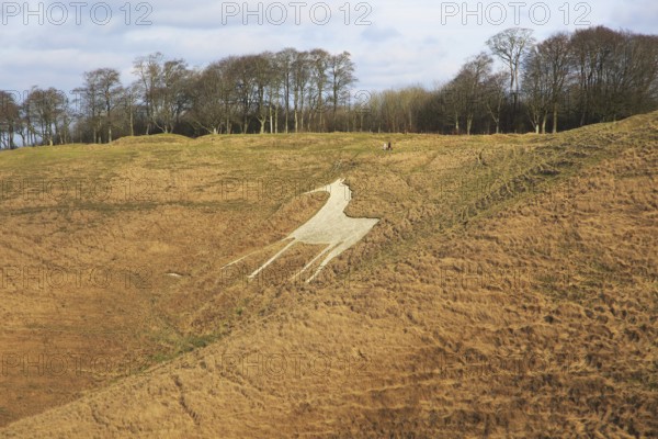 White Horse in chalk escarpment hillside, Cherhill, Wiltshire, England, UK