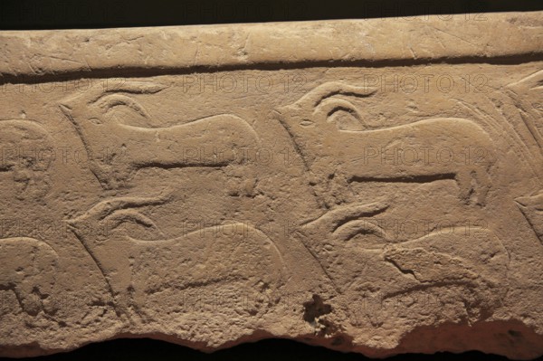 Carved stone goat pattern design, National Museum of Archaeology, Valletta, Malta, Europe