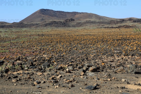 Rocky volcanic badlands 'malpais' landscape, Malpaís Grande national park, Fuerteventura, Canary
