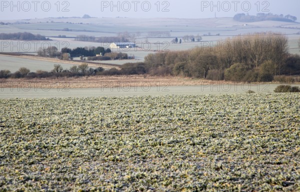 Frosty morning landscape looking south west from Windmill Hill, Avebury, Wiltshire, England, UK