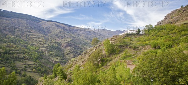 View of Poqueira gorge and Sierra Nevada mountains, High Alpujarras, Sierra Nevada, Granada