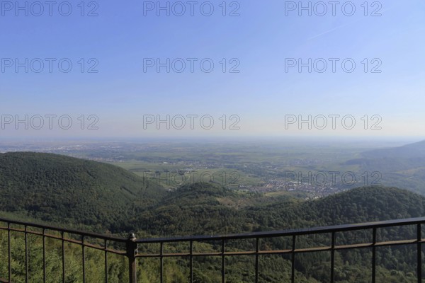 View of the Rhine plain from the summit plateau of the Orensberg (southern Wine Route)