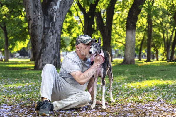 A mature bald man is looking and sitting with his greyhound dog in the park, hugging him and giving