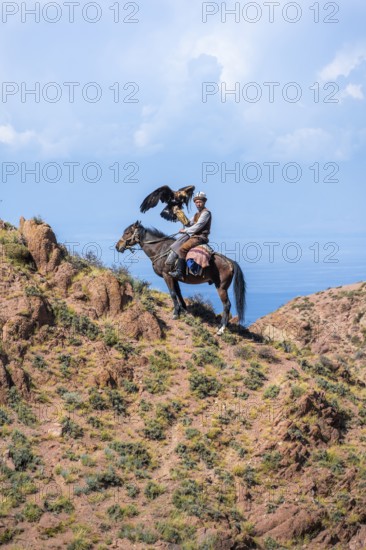 Traditional Kyrgyz eagle hunter with eagle in the mountains, hunting on horseback in front of dry