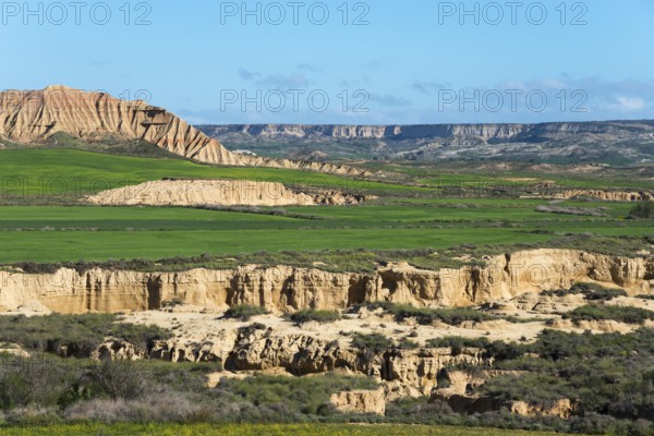 Grassy green fields and rocky mountain ranges under a clear and sunny sky, Bardenas Reales Natural