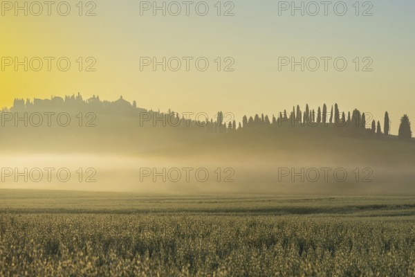 Sunrise in the Crete Senesi, Province of Siena, Tuscany, Italy, Europe