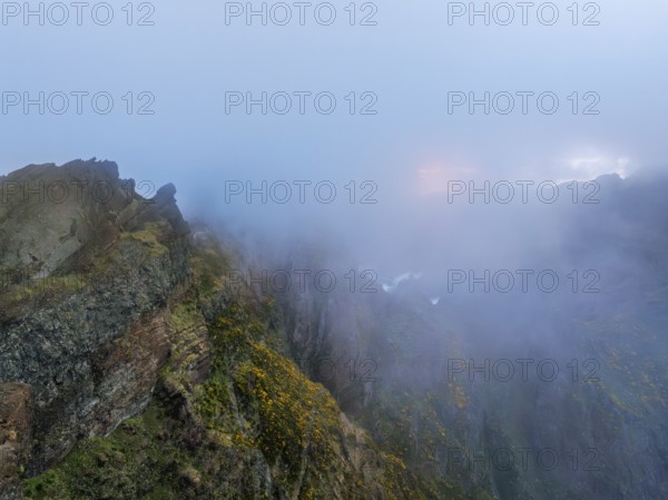 A mountain covered in fog and clouds with blooming Cytisus shrubs. Near Pico de Arieiro, Madeira