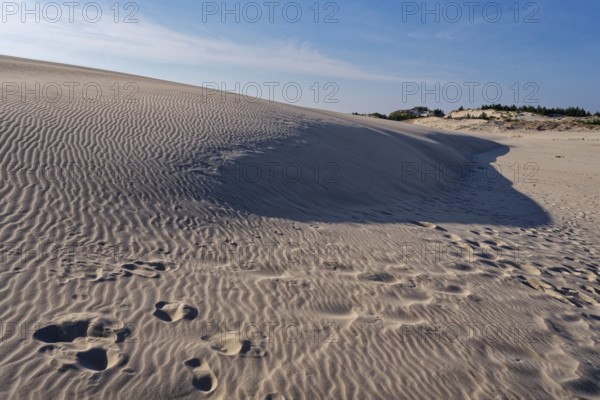 Dune landscape around the Lontz Dune, Wydma Lacka, the largest travelling dune on the Polish Baltic