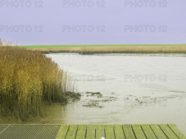 Low tide, mudflats, Dollart, Nieuwe Statenzijl, Netherlands