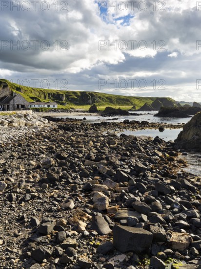 Pristine rocky coastline, coastline in summer, Ballintoy Harbour, Causeway Coastal Route, Antrim,