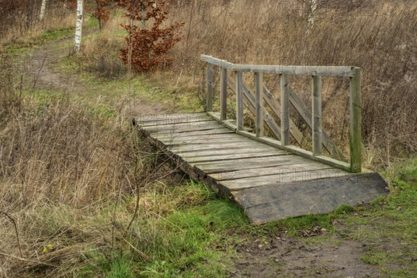 Bridge in path over stream in forest in winter in Ystad, Skåne live southern Sweden, Scandinavia