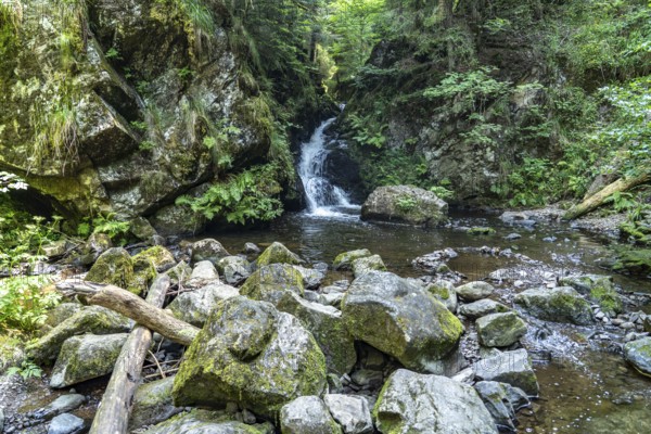 Small Ravenna Falls waterfall in the Ravenna Gorge near Breitnau, Black Forest, Baden-Württemberg,