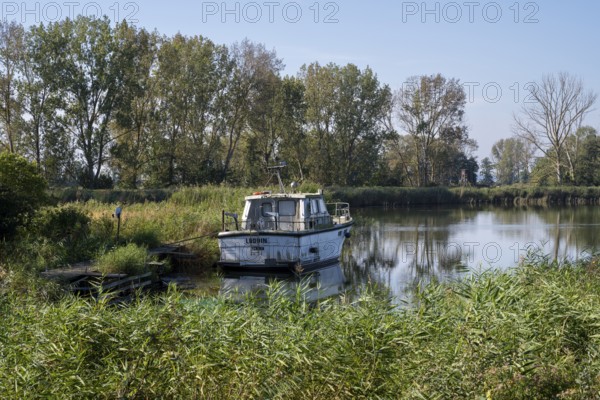 Boat harbour on the Achterwasser, Koserow, Usedom Island, Baltic Sea, Mecklenburg-Western