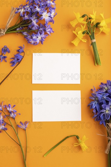 White paper business cards with spring snowdrop flowers bluebells, narcissus on orange pastel