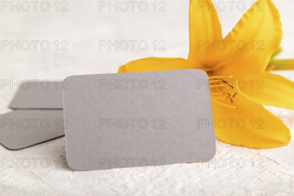 Gray paper business card mockup with orange day-lily flower on gray concrete background. Blank,