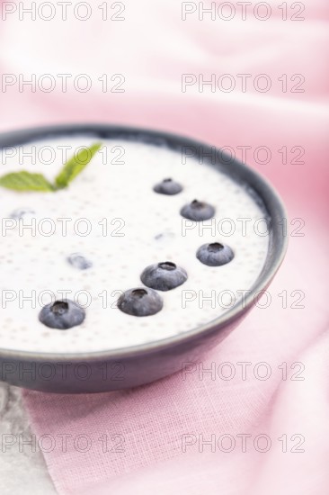 Yogurt with blueberry in ceramic bowl on gray concrete background and pink linen textile. Side