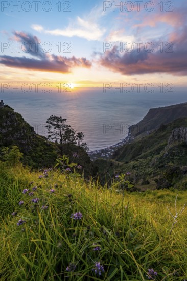 Evening mood, green coastal landscape on a steep cliff at sunset, sea and coast, viewpoint