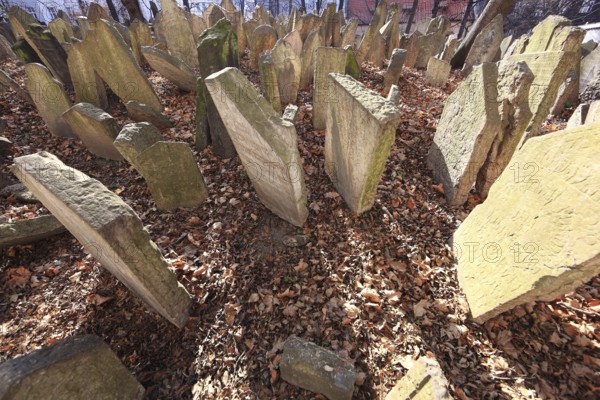 The Old Jewish Cemetery in the Josefov district is one of the most historically significant Jewish